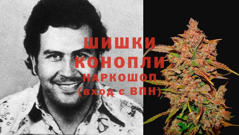 это клад  где найти наркотики  Малоярославец  Бошки марихуана THC 21% 